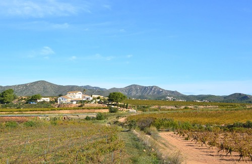 La Bisbal del Penedés Cabaña | Masia sostenible del S. XVII rodeada de viñas del Penedès, con piscina privada