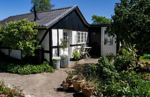 Roskilde Cama Y Desayuno | Svenskebakken Bed & Breakfast
