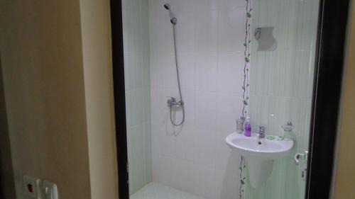 Shiroki Dol Villa | Sveti Nikola Villas near Borovets
