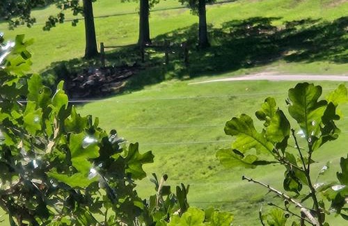 Table Rock Apartamento | Swan's Couples Getaway Condo