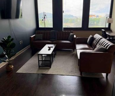 Downtown Pittsburgh Apartamento | Sweeping Stadium Views TOP LOCATION BEST VIEWS FAST WIFI 24-7 Gym Lounge Roku