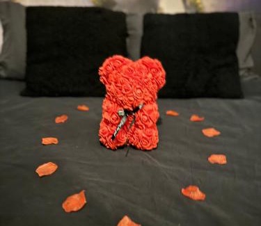 Bruz Apartamento | SWEET ANGEL Suite romantique avec SPA