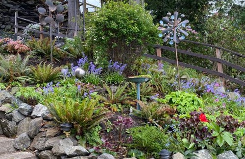 Friday Harbor Apartamento | Sweet Escape & Summer Dream