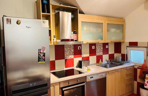 Cukarica Apartamento | Sweet loft in Zeleznik