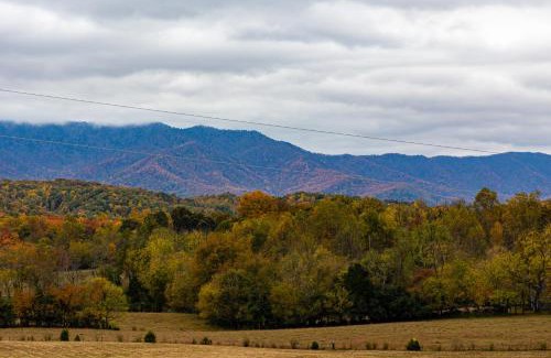 Cosby Casa | Sweet Mountain Memories Relax affordably cozy cabin with hot tub, game room, and mountain views!