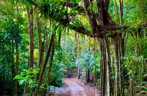 Christmas Island National Park Cabina | Swell Lodge