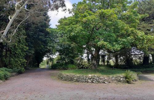 Rhyd-y-clafdy Casa | Swifts Nest