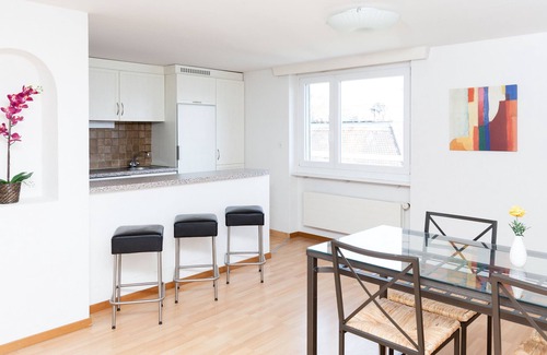 Alt-Wiedikon Apartamento | Swiss Star Wiedikon