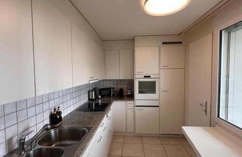 Oberrohrdorf Apartamento | Swiss Suites Oberrohrdorf