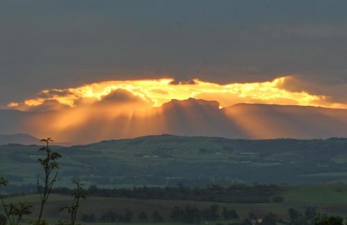 Mooirivier Cabina | Sycamore Avenue Treehouses & Cottages Accommodation