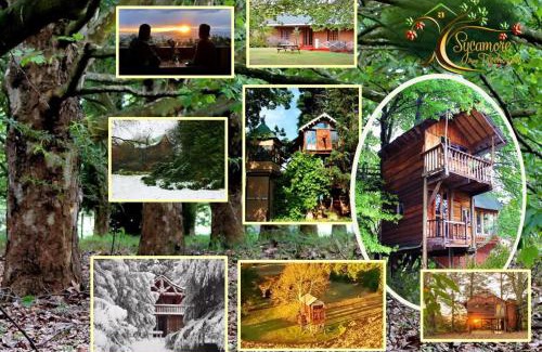 Mooirivier Cabina | Sycamore Avenue Treehouses & Cottages Accommodation