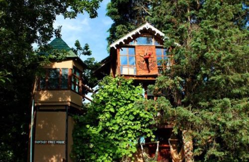 Mooirivier Cabina | Sycamore Avenue Treehouses & Cottages Accommodation