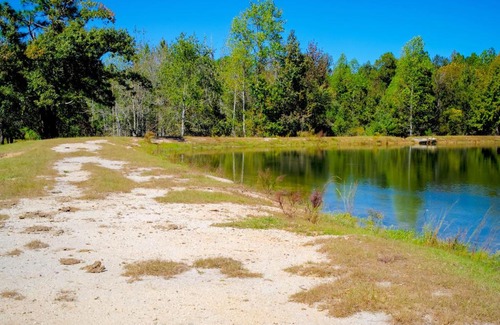 Sylvania Casa | Sylvan Cabin on 73 Acres - Pond On-Site!