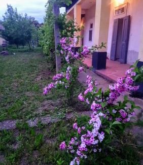 Tiszafured Casa | Szelíd Tisza Vályog Vendégház Tiszafüred