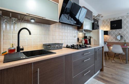 Katowice Apartamento | Szeligiewicza Comfort Studio by BookingHost