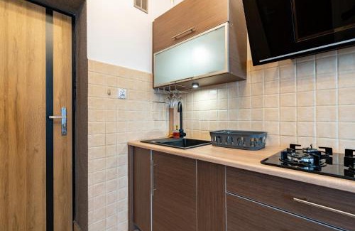 Katowice Apartamento | Szeligiewicza Comfort Studio by BookingHost
