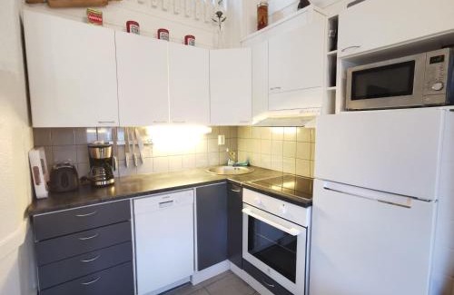 Syote Casa | Tähdenlento A