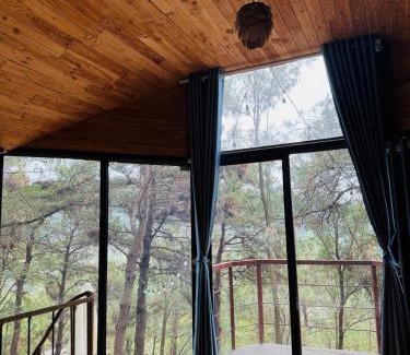 Soc Son Casa | Tổ Chim House