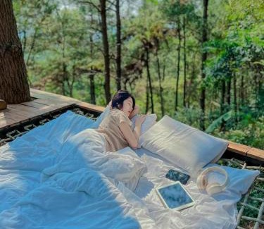 Soc Son Casa | Tổ Chim House