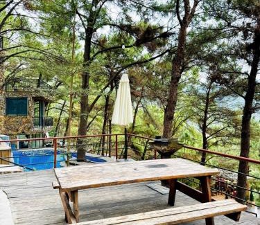 Soc Son Casa | Tổ Chim House