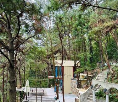 Soc Son Casa | Tổ Chim House