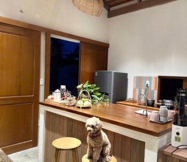 Mang Yang Apartamento | Tổ Ong Kiến Bình Định