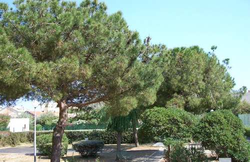 Carnon-Plage Apartamento | T 2 47 m2 apartamento con vistas al puerto en residencia con piscina y pista