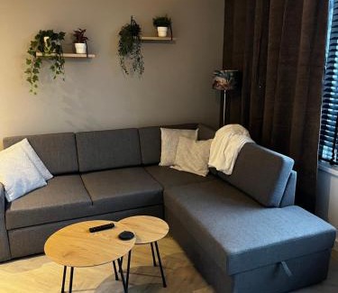 Leiden Apartamento | ‘T Singeltje
