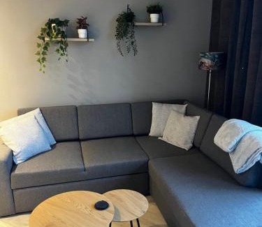 Leiden Apartamento | ‘T Singeltje
