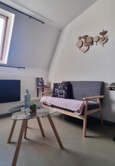 Anzin Apartamento | T1 rénové 24m2 Cosy Confort !