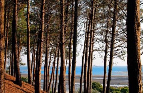 Arcachon Apartamento | T2 cabine 35m2 au port d'Arcachon avec balcon et parking sécurisé - FR-1-420-28