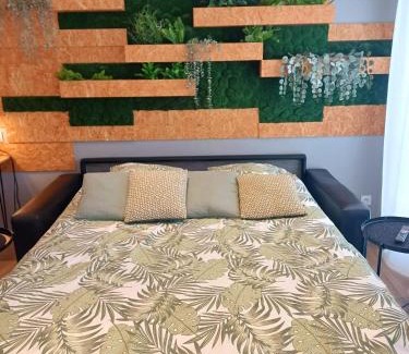 Agen Apartamento | T2 l'ovalie, 4pers , 4lits, wifi
