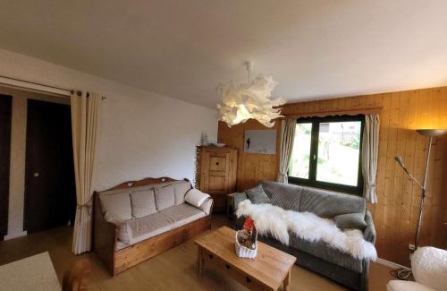 Le Grand-Bornand Apartamento | T2 rénové au Grand-Bornand avec balcon, parking et terrasse, 4 pers, proche village - FR-1-458-205
