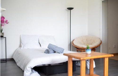 Rangueil-Sauzelong-Pech David-Pouvourville Apartamento | T2 Rangueil - Terrasse + 2 Parkings - 4 personnes