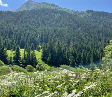 Champagny-en-Vanoise Apartamento | T2 vue sur le parc de la vanoise
