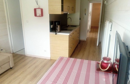 Eaux-Bonnes Apartamento | T2Bis apartment at the foot of the slopes /residence euroneige