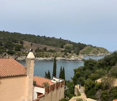Banyuls-sur-Mer Apartamento | T3 PIEDS DANS L'EAU CLIM WIFI TERRASSE VUE MER