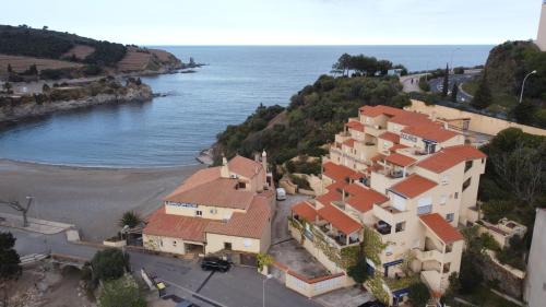 Banyuls-sur-Mer Apartamento | T3 PIEDS DANS L'EAU CLIM WIFI TERRASSE VUE MER
