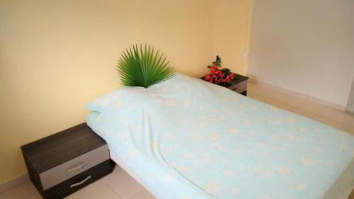 Le Carbet Apartamento | T3 plein centre et bord de mer