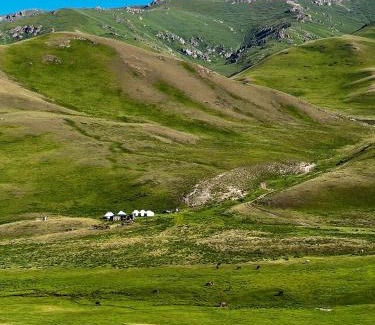 Naryn Region Apartamento | Taasir Yurt Camp