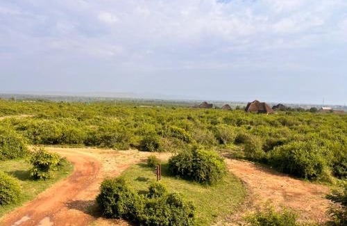 Western Region Cabina | Tabingi Safari Lodge