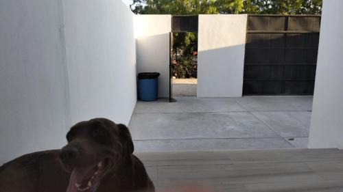 Colina del Sol Casa | Tacho's House privacy comfort 5 luxury