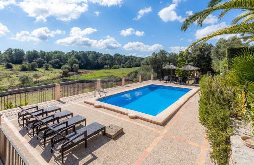 Arta Villa | Taconera