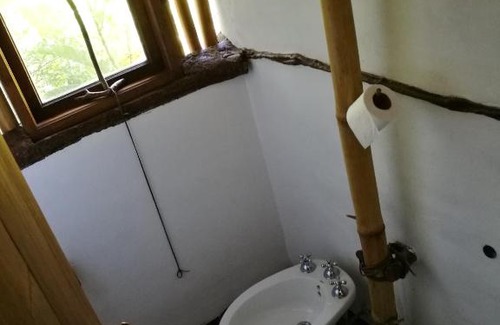 Aristóbulo del Valle Cabina | Tacuapí Lodge
