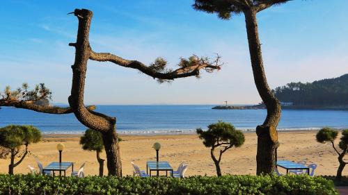 Kujanggul Casa | Taean The sea side Pension