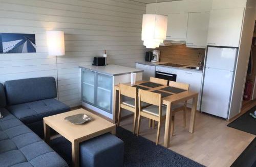 Tahkovuori Apartamento | Tahko Chalet B 601