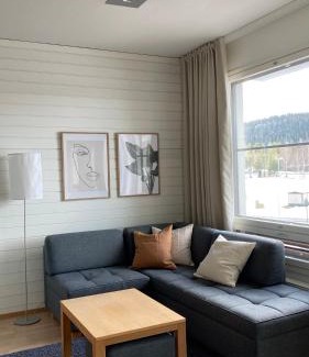 Tahkovuori Apartamento | Tahko Chalets B402
