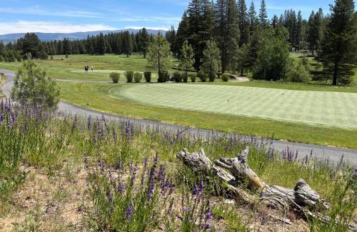 Downtown Hotel | Tahoe Star Hotel