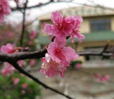 Luye Casa | Tai Yu Ju Bao Fang B&B