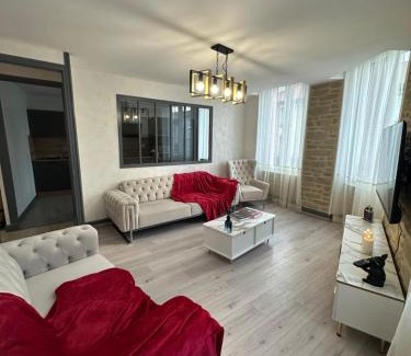 Tain-l'Hermitage Apartamento | Tain centre -T3- wine themed apartment